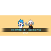 《哔哩哔哩》图片水印关闭方法
