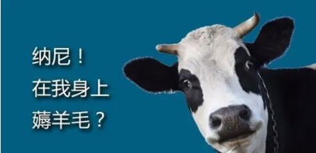 QQ截图20220613105605.jpg
