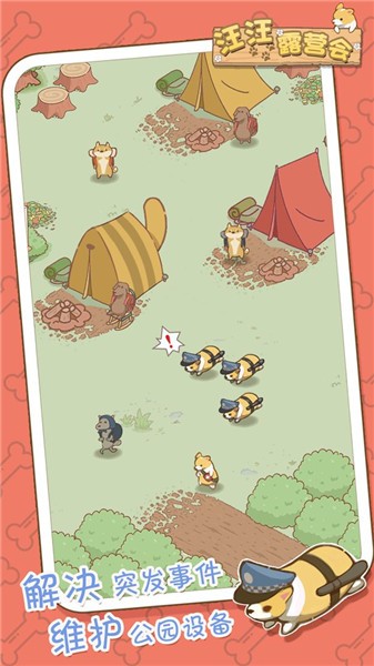 汪汪露营会