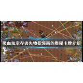《吸血鬼幸存者》失物招领画的奥秘有什么用？失物招领画的奥秘卡牌介绍