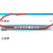 QQ小世界在哪里关闭 QQ小世界关闭方法介绍