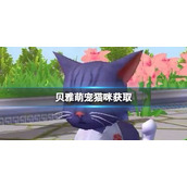 创造与魔法贝雅萌宠猫咪获取 猫咪获取方法