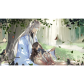 《寒夜如春》魔杖攻略（二）