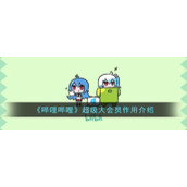 《哔哩哔哩》超级大会员作用介绍