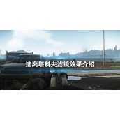 《逃离塔科夫》滤镜是什么？滤镜效果介绍