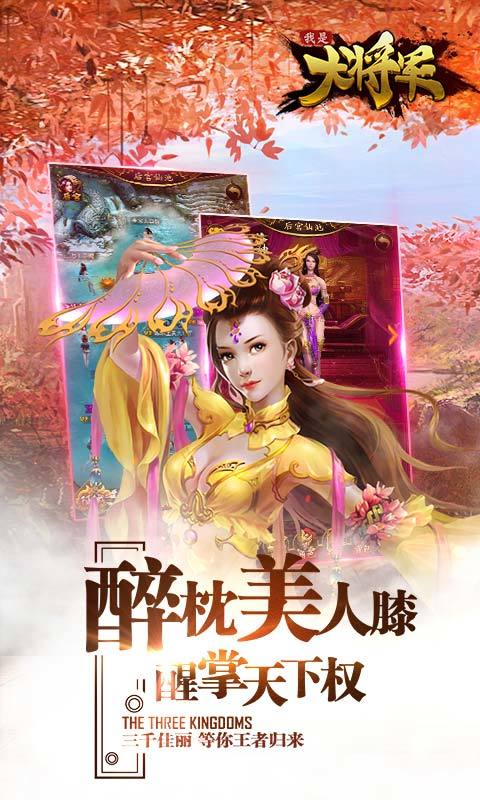我是大将军福利版