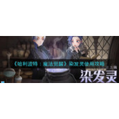 《哈利波特：魔法觉醒》染发灵使用攻略