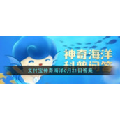 虎鲸是一种高度社会化的动物分布于几乎所有的海洋区域它属于