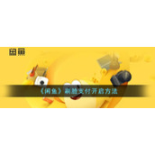 《闲鱼》刷脸支付开启方法