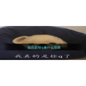 我真的栓q是什么意思