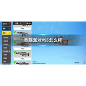 香肠派对VSS怎么样 香肠派对VSS配件推荐