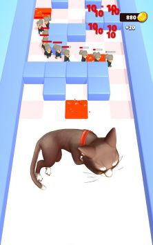 别碰我的猫Donttouchmycat