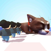 别碰我的猫Donttouchmycat