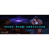 《暗黑破坏神：不朽》魔法师传奇装备推荐