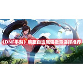 《DNF手游》韩服自选属强徽章选择推荐