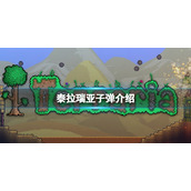 泰拉瑞亚钨子弹怎么样