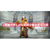 《魔兽世界》wlk圣骑士输出手法介绍