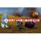 《魔兽世界》wlk猎人输出手法介绍