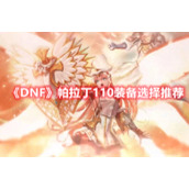 《DNF》帕拉丁110装备选择推荐