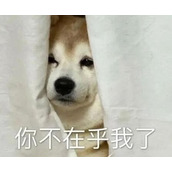 你已经没有在乎的人了吗是什么梗