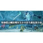 《怪物猎人崛起》艾尔卡多鸟巢在哪？曙光艾尔卡多鸟巢位置介绍