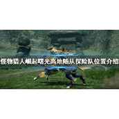 《怪物猎人崛起》随从探险队在哪？曙光随从探险队位置介绍
