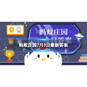 猫头鹰的大脸盘是做什么用的