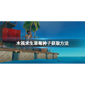《木筏求生》如何获取草莓种子？raft草莓种子获取方法