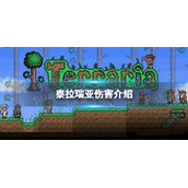 《泰拉瑞亚》伤害是什么
