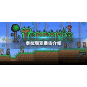 《泰拉瑞亚》暴击是什么