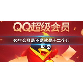 QQ年会员是不是就是十二个月