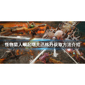 《怪物猎人崛起》迅炼丹如何获得？曙光迅炼丹获取方法介绍