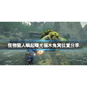 《怪物猎人崛起》曙光福木兔拍照任务怎么做？曙光福木兔窝位置分享