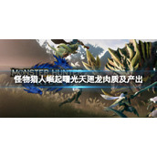 《怪物猎人崛起》天廻龙怎么打？曙光天廻龙肉质及产出