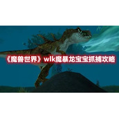 《魔兽世界》wlk魔暴龙宝宝抓捕攻略
