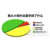 小组作孽是什么梗