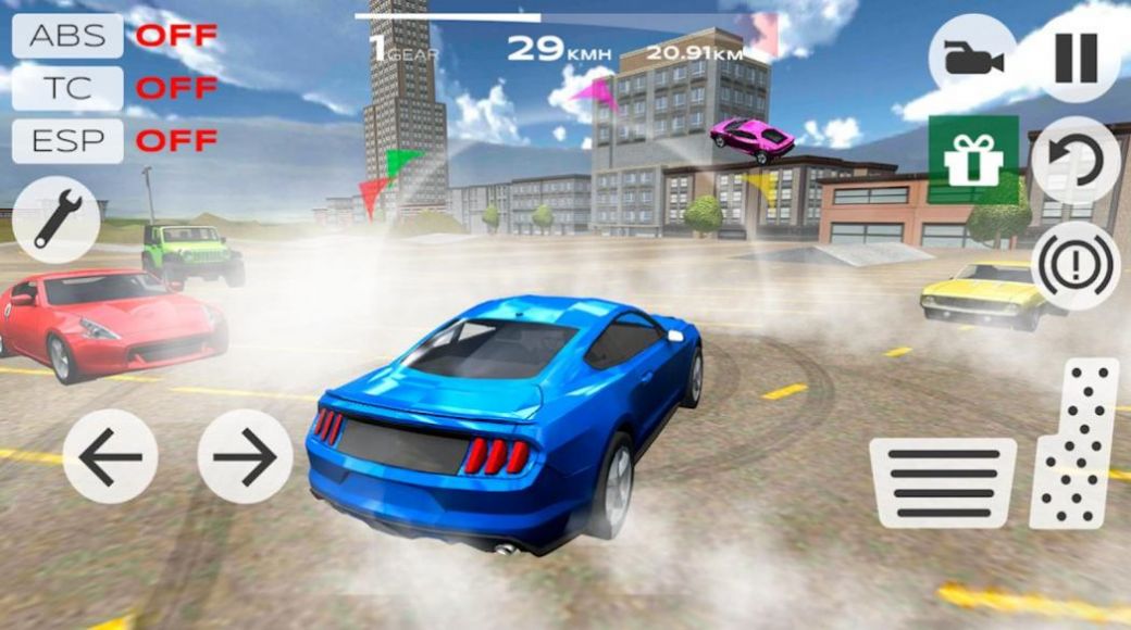 Multiplayer Dri