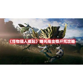《怪物猎人崛起》曙光操虫棍开荒攻略