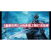 《魔兽世界》wlk永恒之眼打法攻略