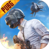 pubg(国际服)下载安装正式正版
