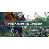 《怪物猎人崛起》曙光双刀肉装输出怎么玩？曙光双刀肉装玩法