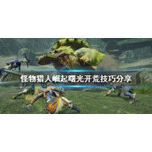 《怪物猎人崛起》新手怎么玩？曙光开荒技巧分享