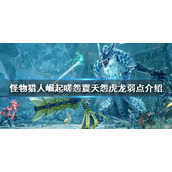 《怪物猎人崛起》曙光嗟怨震天怨虎龙弱点是什么 嗟怨震天怨虎龙弱点介绍