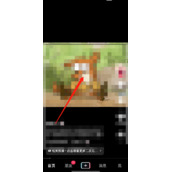 抖音赞赏视频如何操作