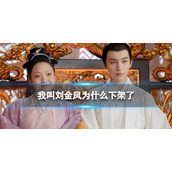 我叫刘金凤为什么下架了
