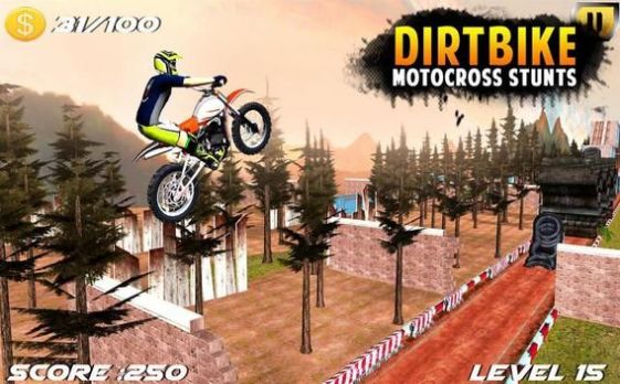 DirtBikeMotoCross中文版