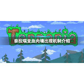 《泰拉瑞亚》血肉墙怎么召唤？血肉墙出现机制介绍