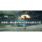 《怪物猎人崛起》操虫棍怎么玩？曙光操虫棍提供流配装介绍