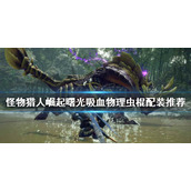 《怪物猎人崛起》虫棍如何配装？曙光吸血物理虫棍配装推荐