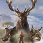 荒岛狩猎人游戏